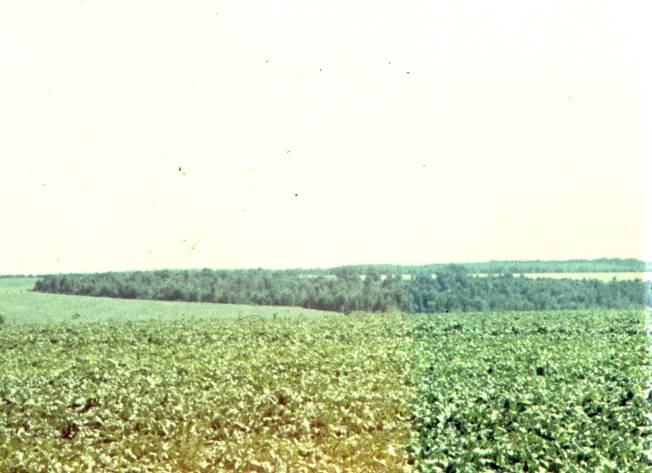 198.jpg