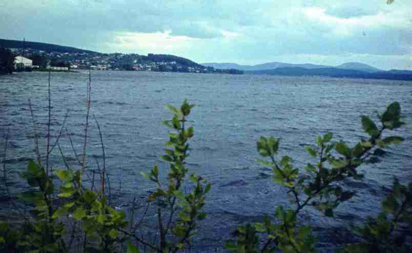 083.jpg