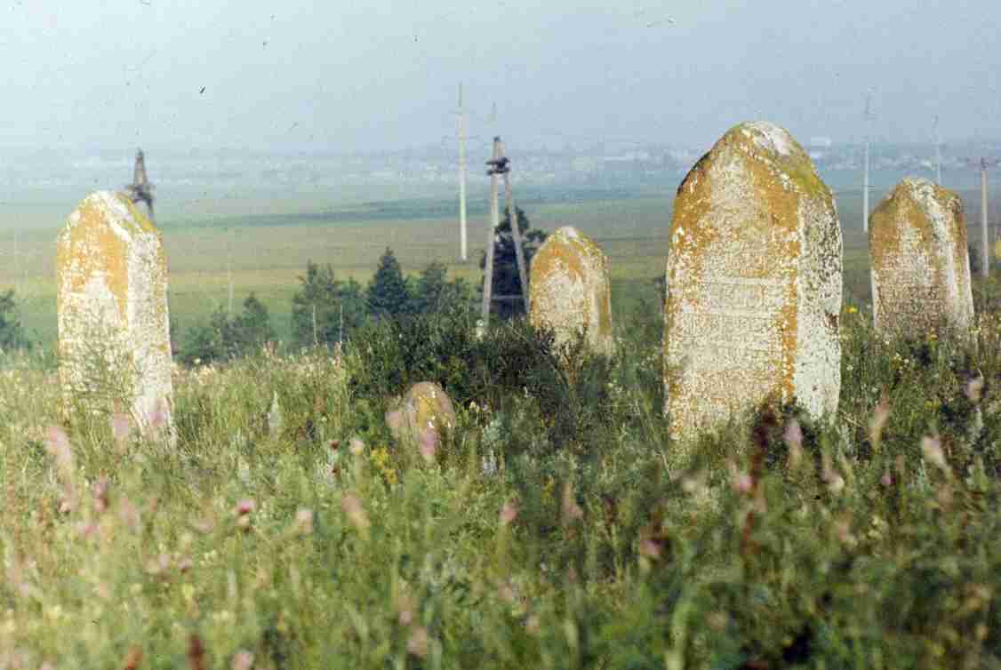 111.jpg