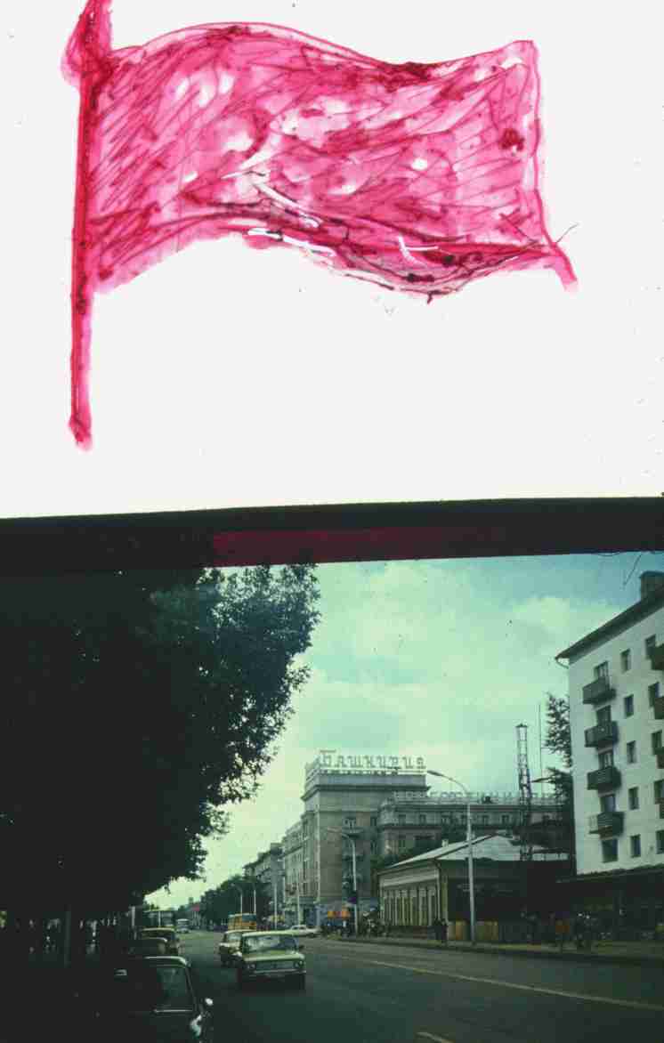 149.jpg