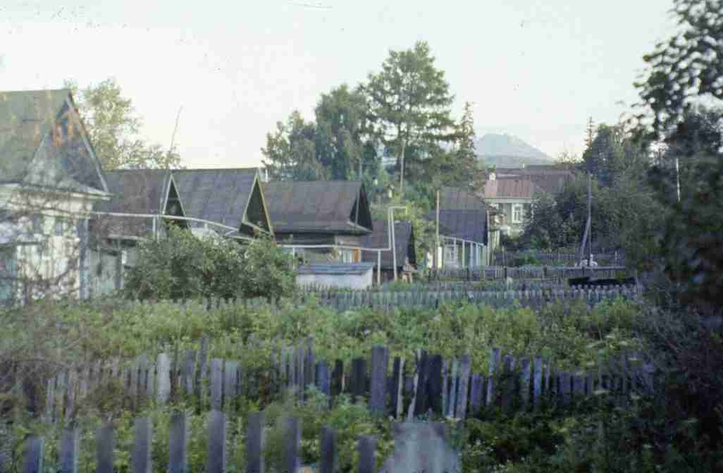 150.jpg