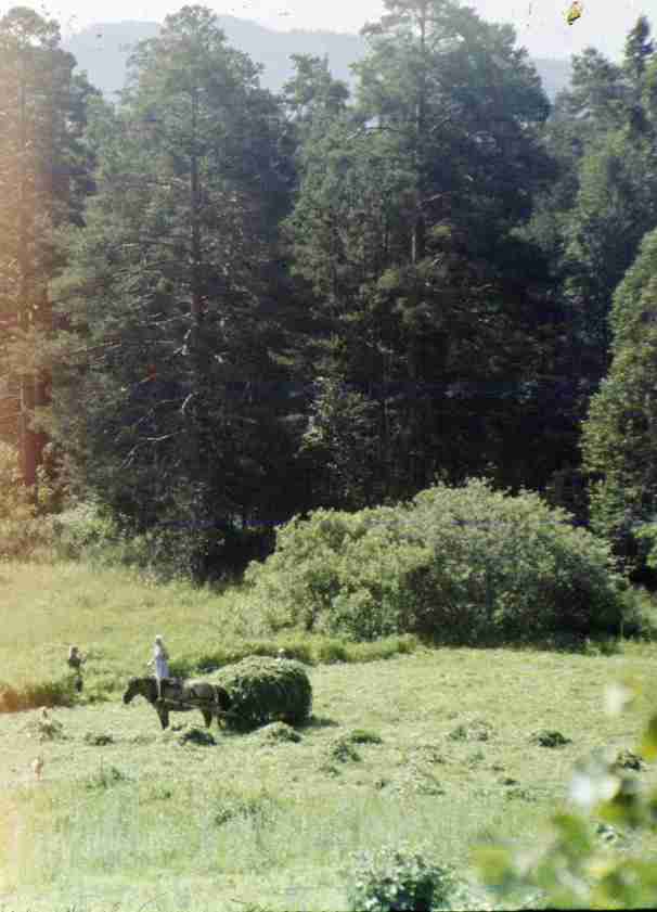 159.jpg