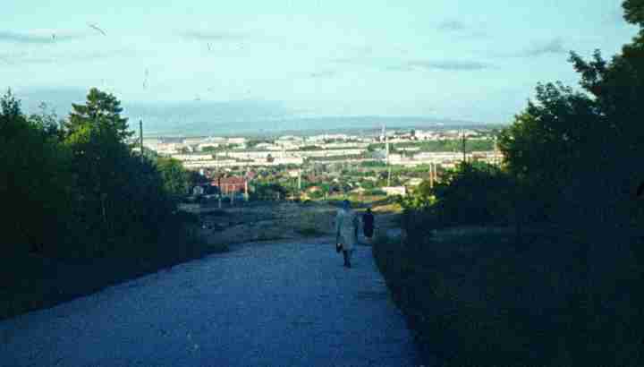 206.jpg