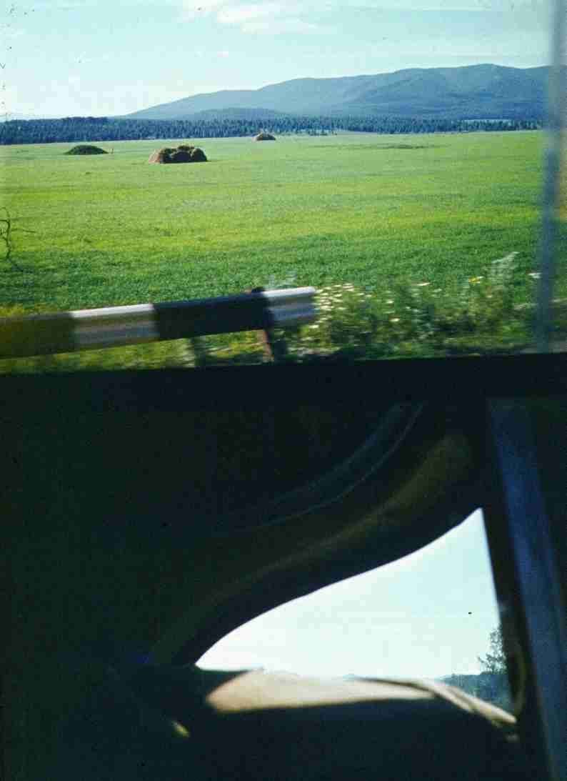 215.jpg