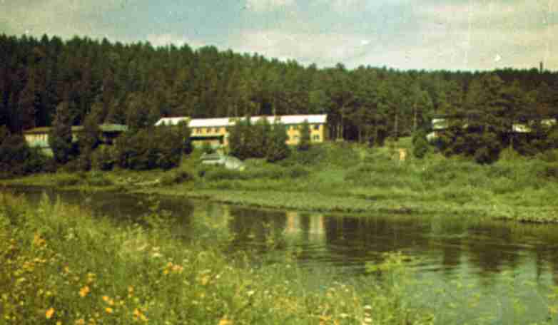 224.jpg