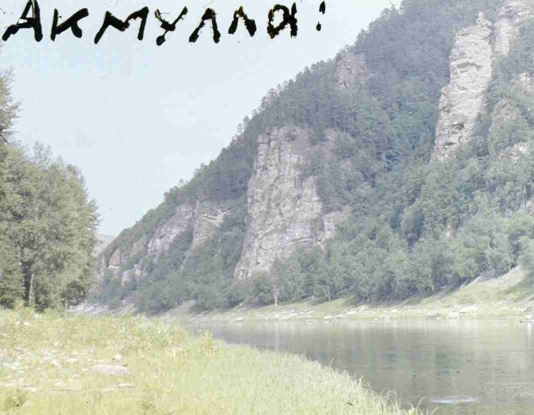 289.jpg