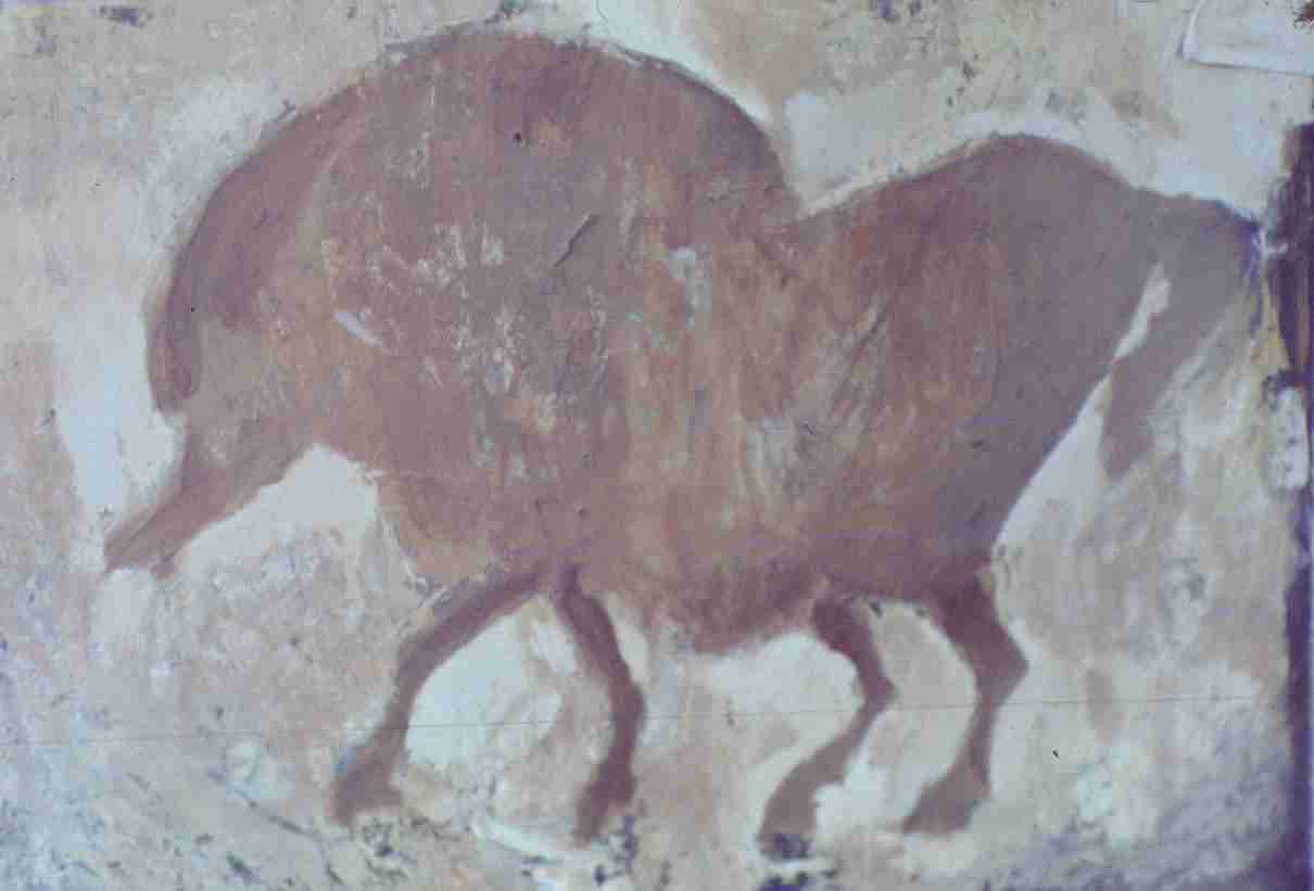 307.jpg