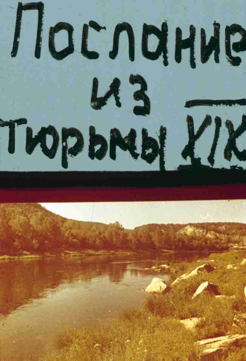 317.jpg