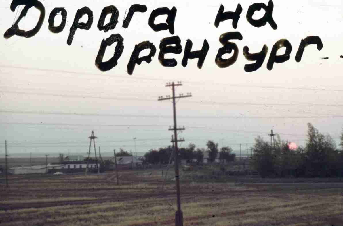 340.jpg