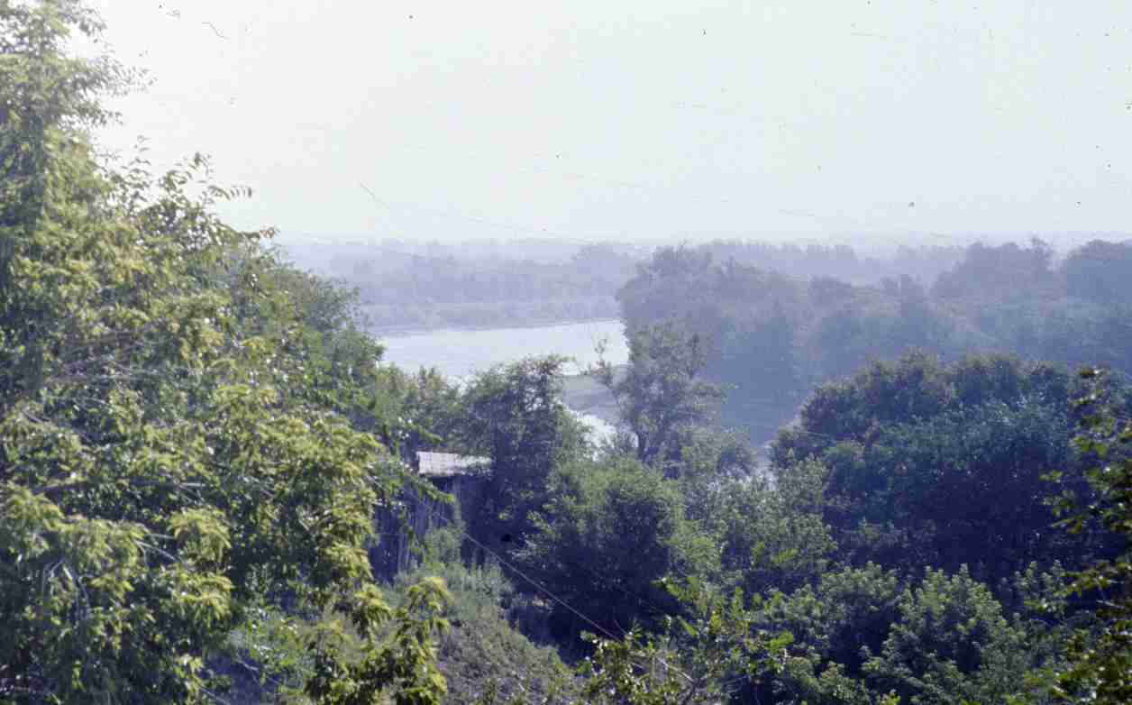 347.jpg