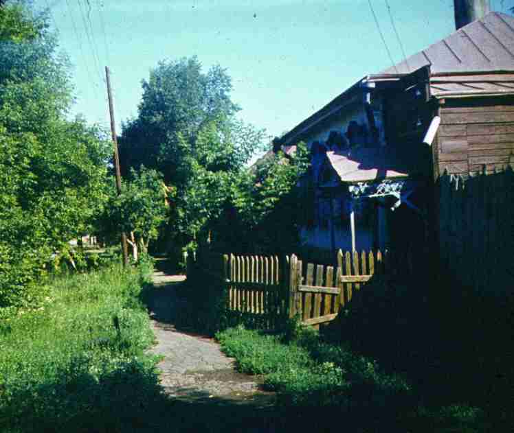 372.jpg
