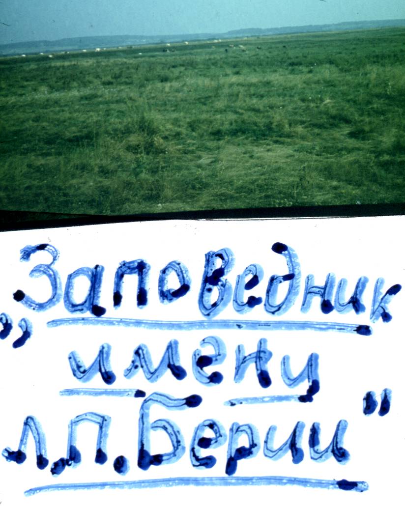 050.jpg