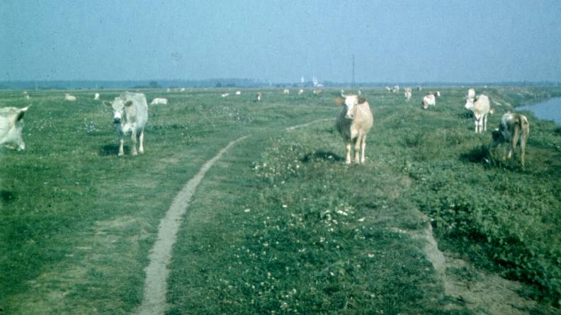 055.jpg