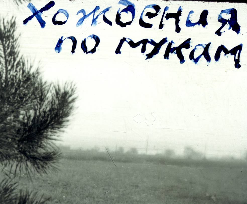 114.jpg