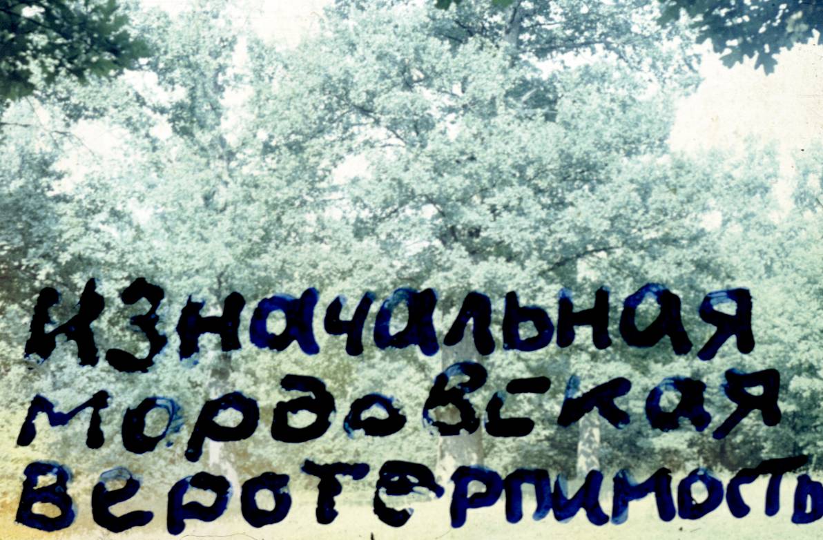 124.jpg