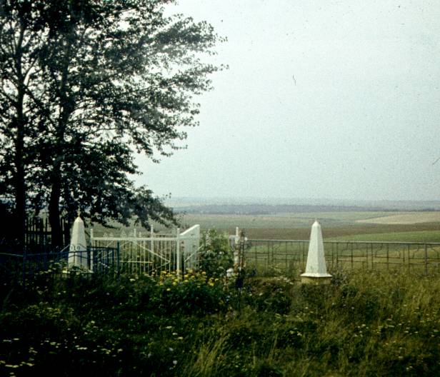 171.jpg