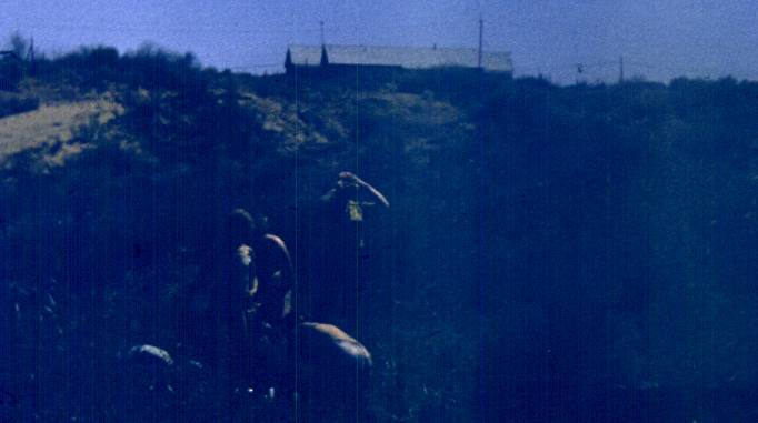 194-1.jpg