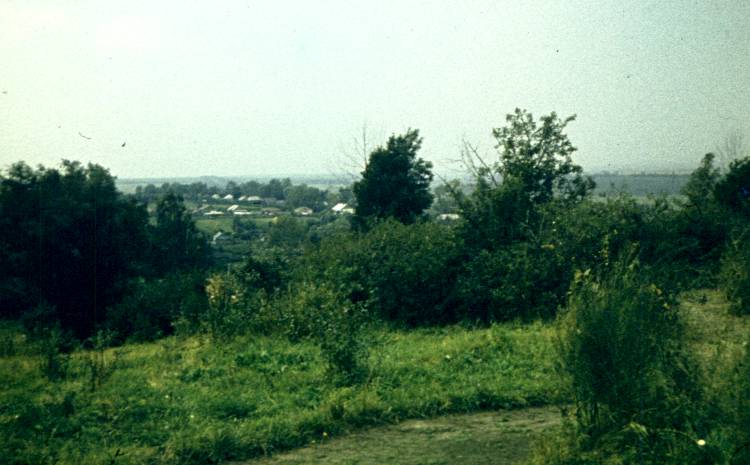 211.jpg