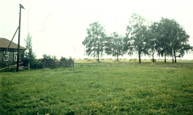212.jpg