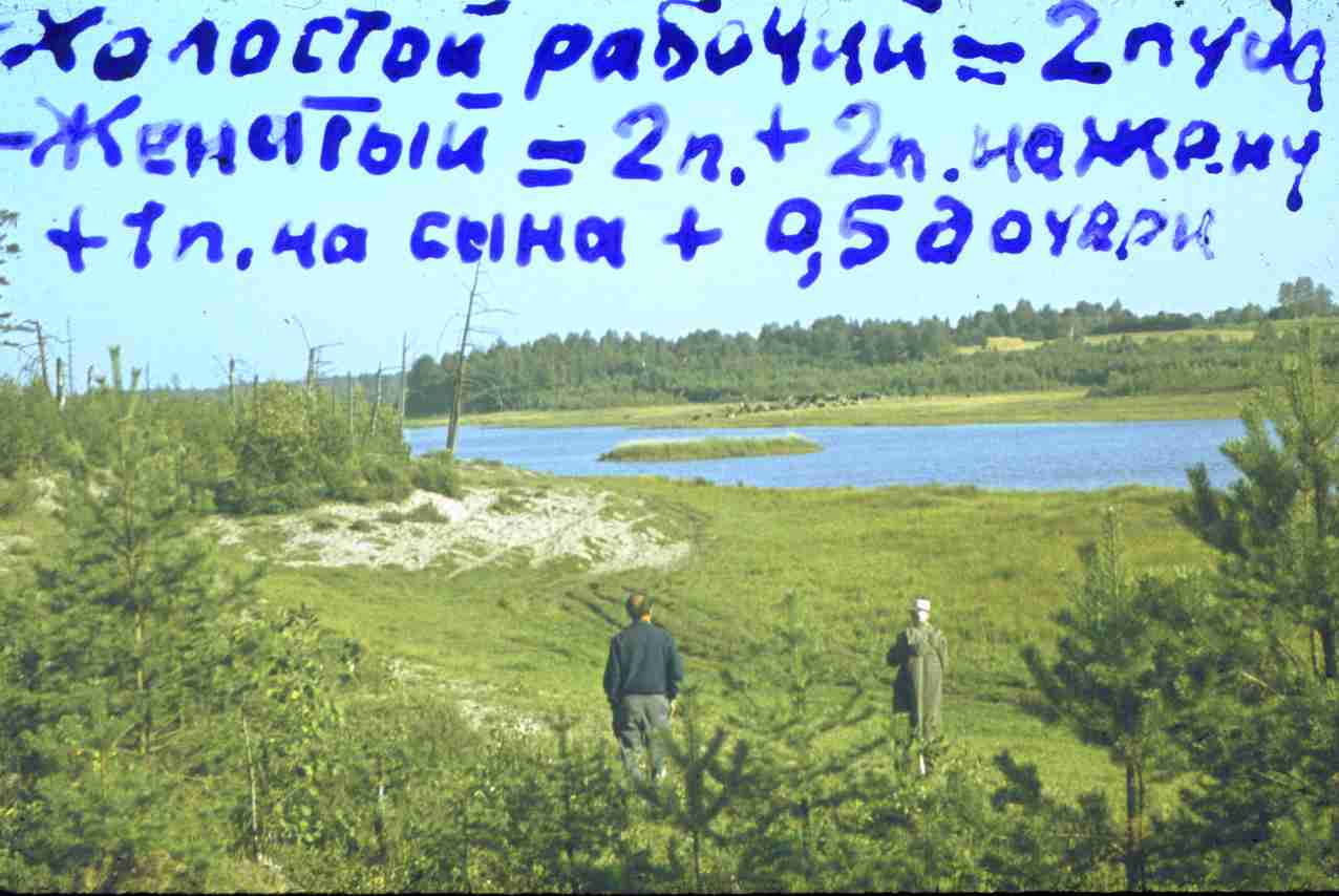 195.jpg