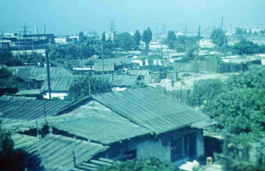 199.jpg