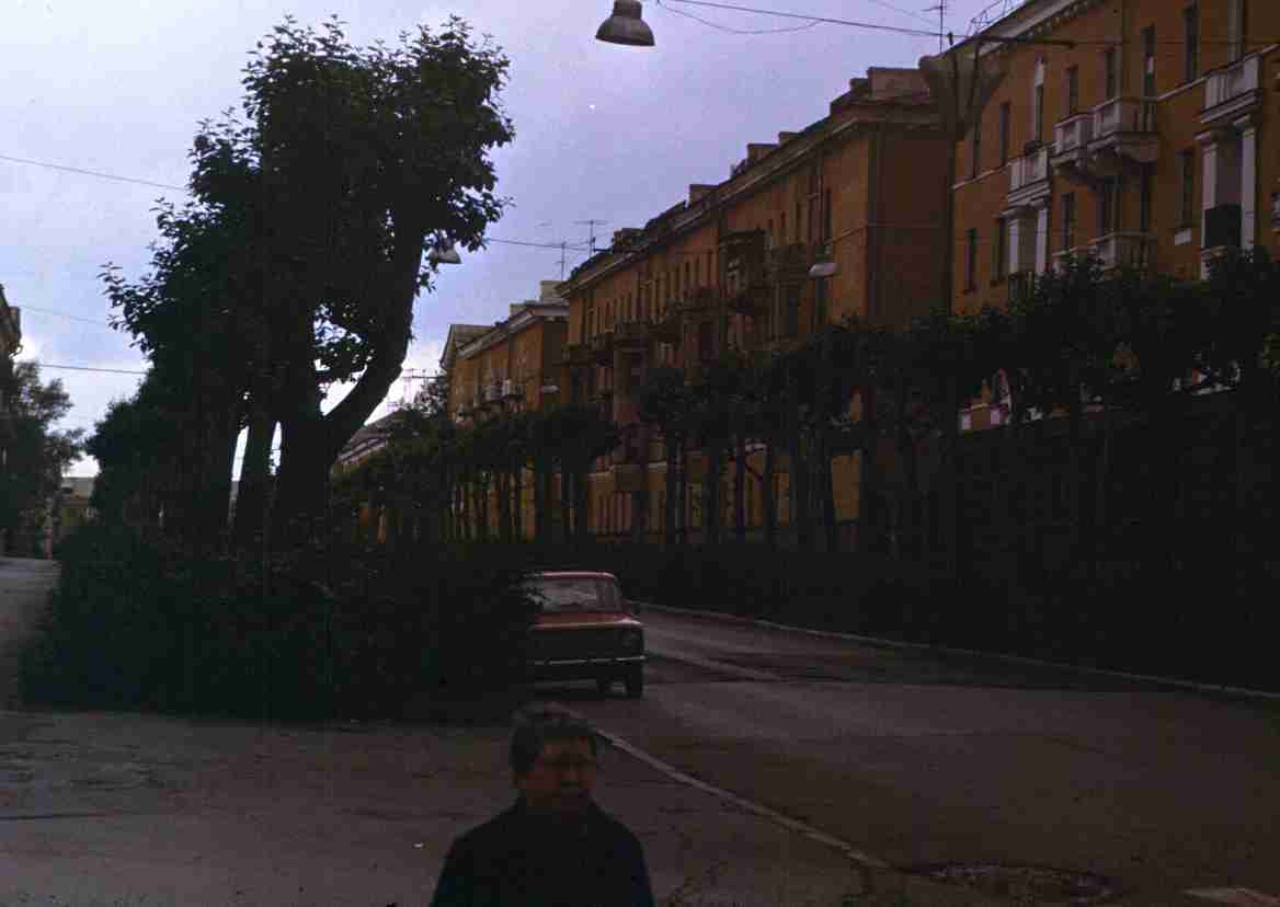 233.jpg