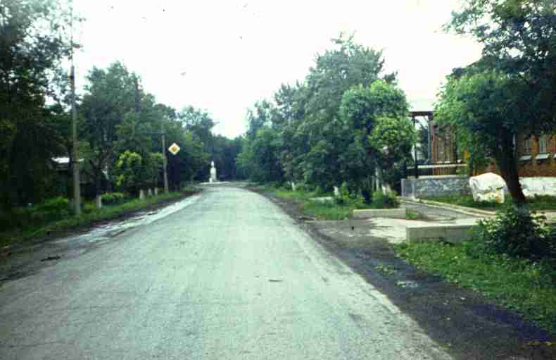 240.jpg