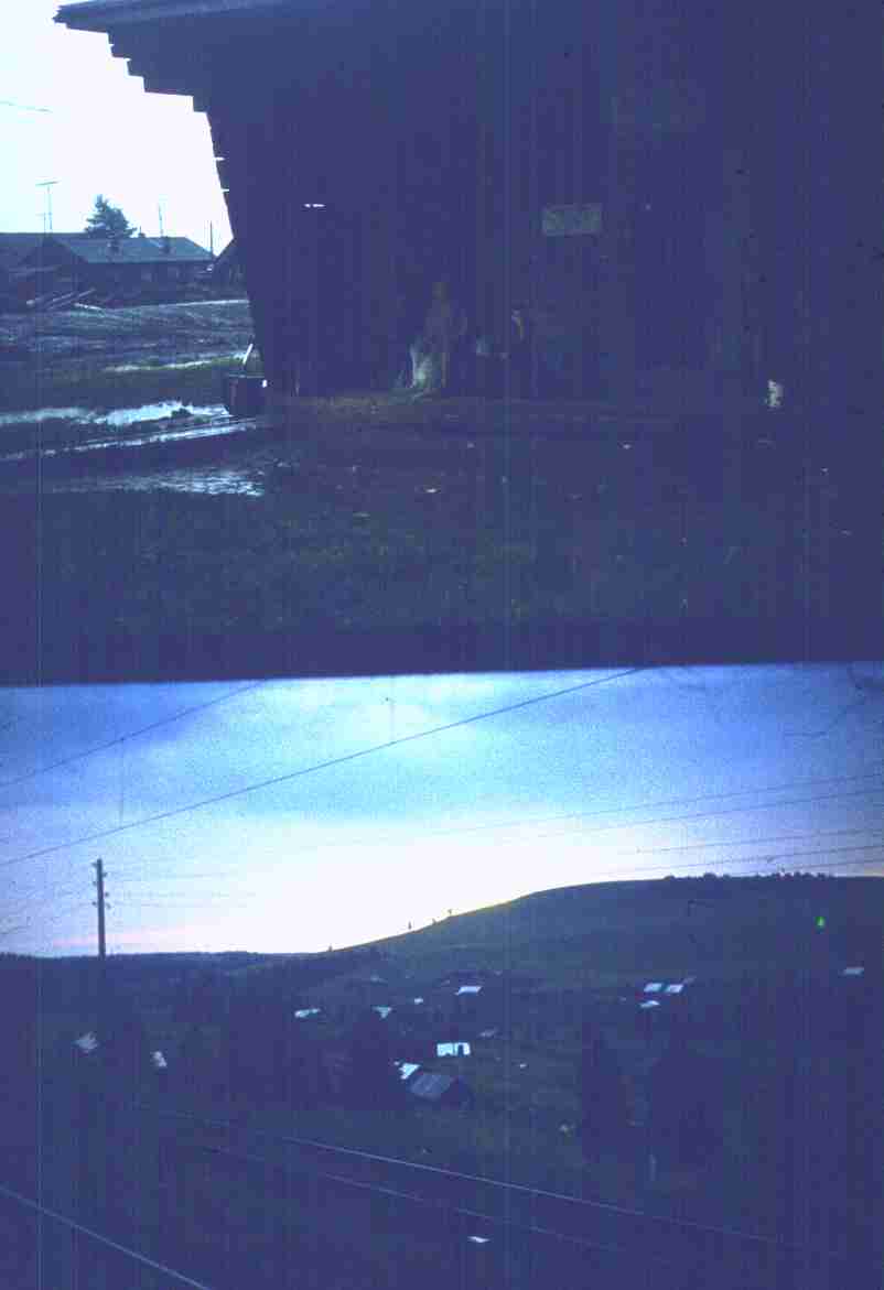 053.jpg