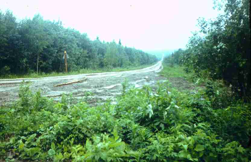 054-2.jpg