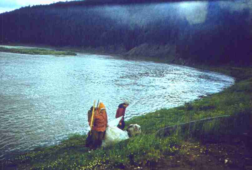 061-2.jpg