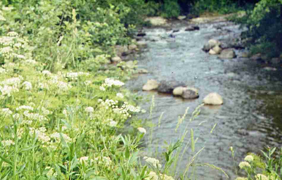 091-1.jpg