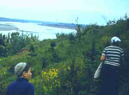 041-1.jpg