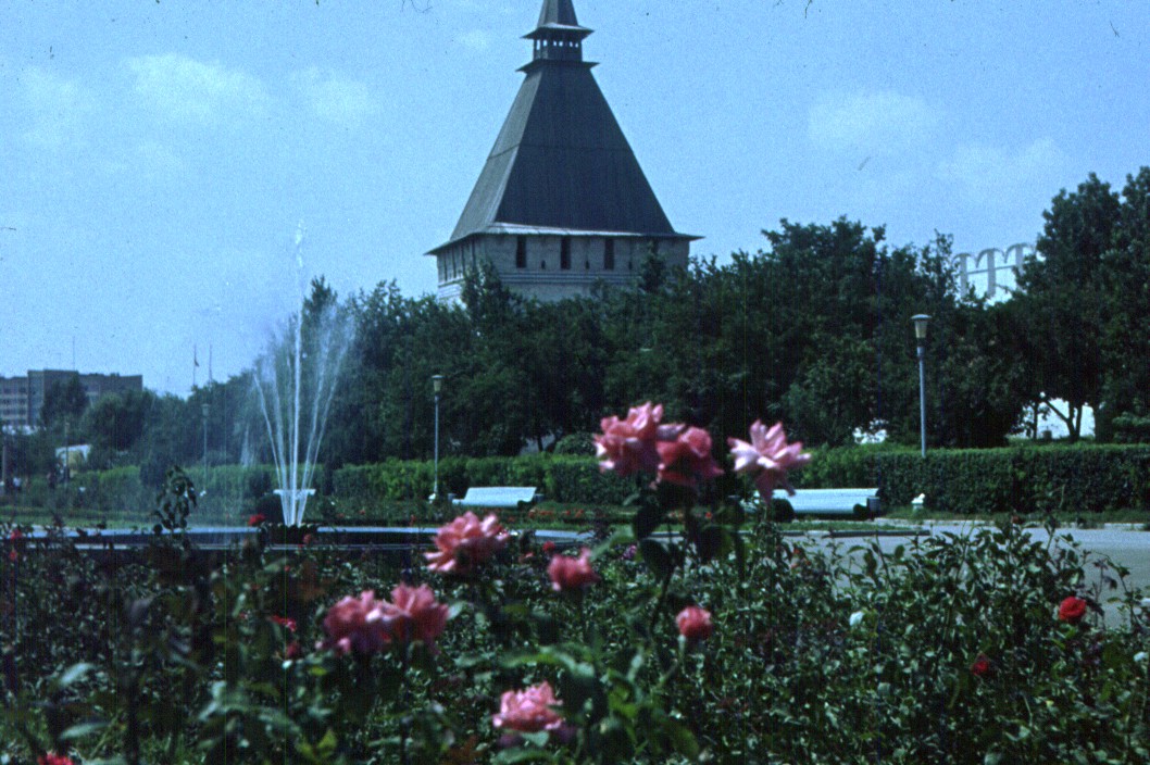 175.jpg