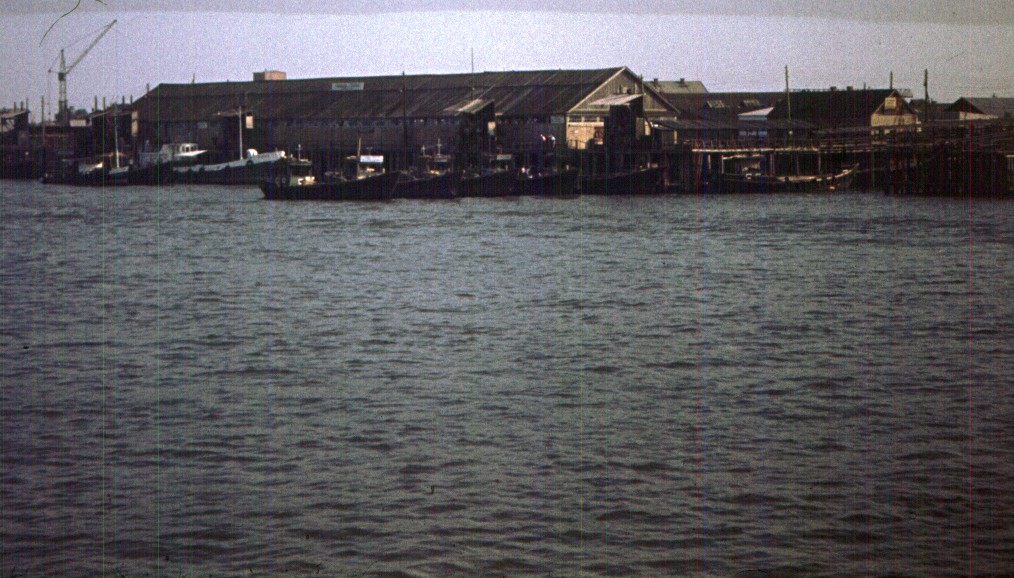 178.jpg