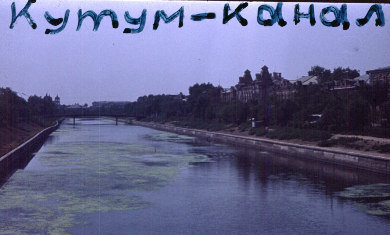 204.jpg