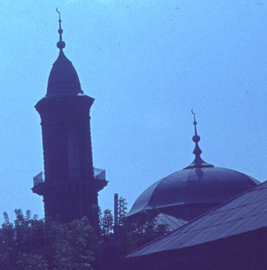 211-1.jpg