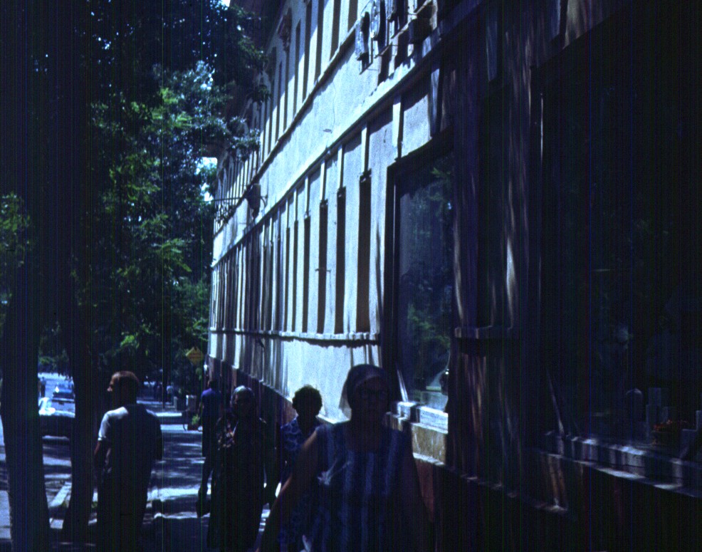 217.jpg