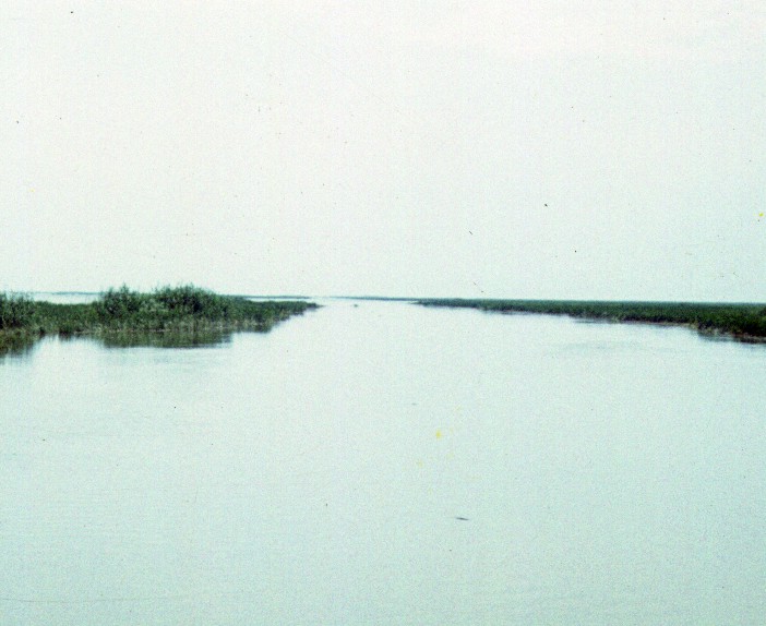 290-1.jpg