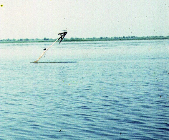 293.jpg