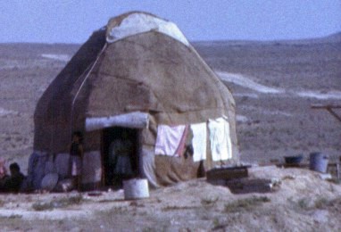 008-1.jpg