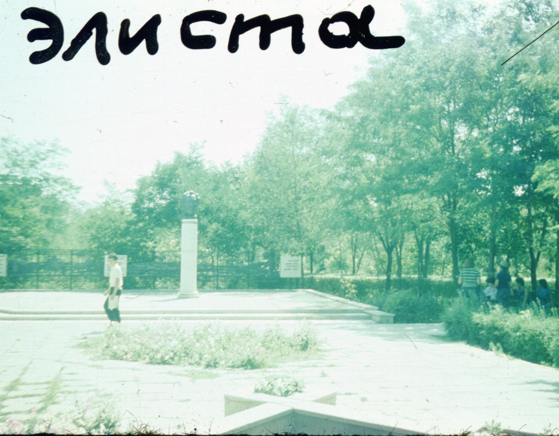 017.jpg