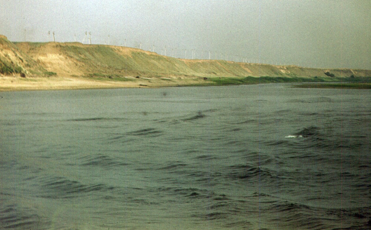050.jpg