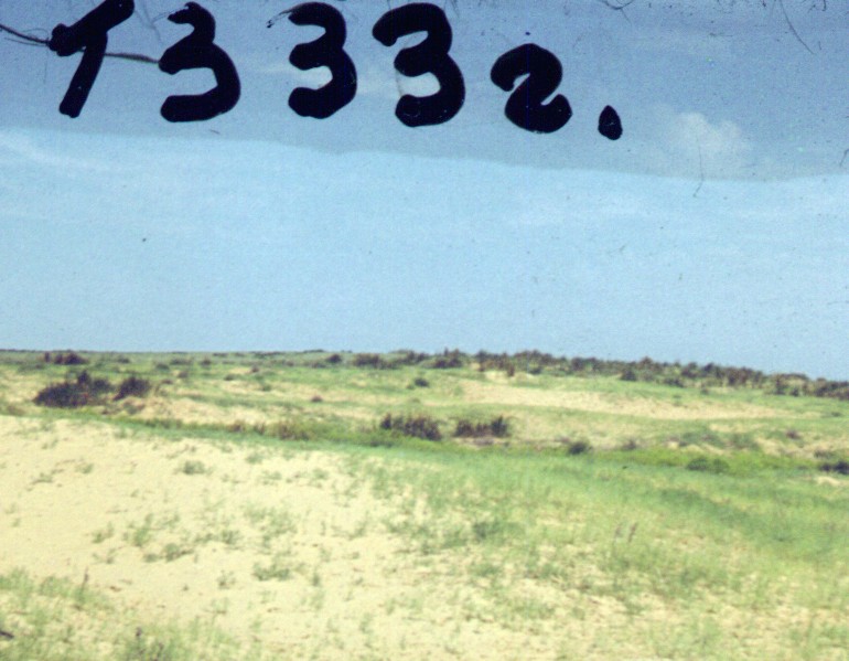 072.jpg