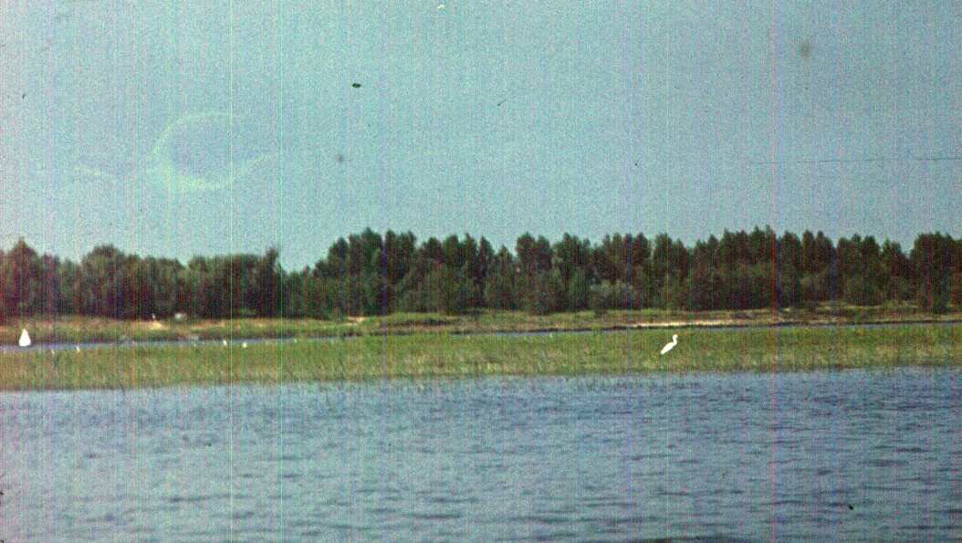 084-1.jpg