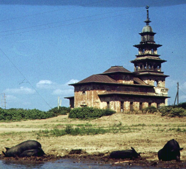 093-1.jpg