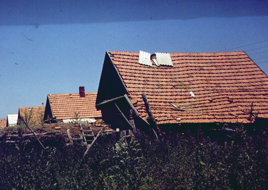 121.jpg