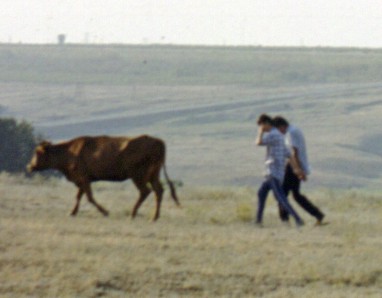 167-1.jpg