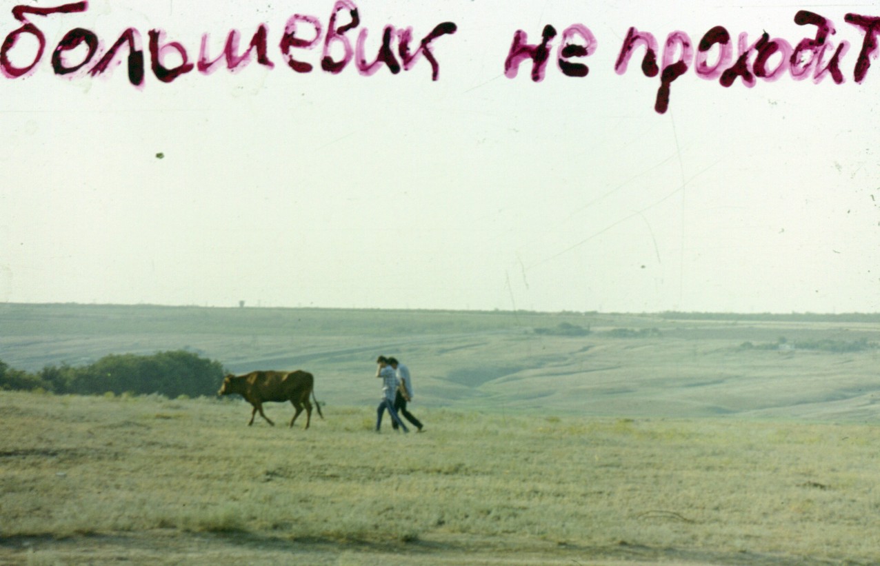 167.jpg