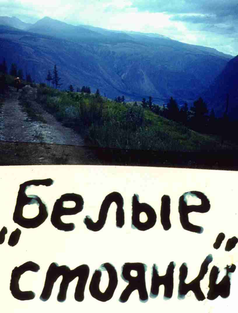010.jpg