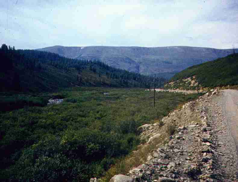 037-1.jpg